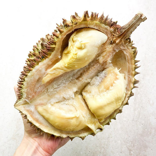 King Durian Meat - Fresh - Pacific Wild Pick