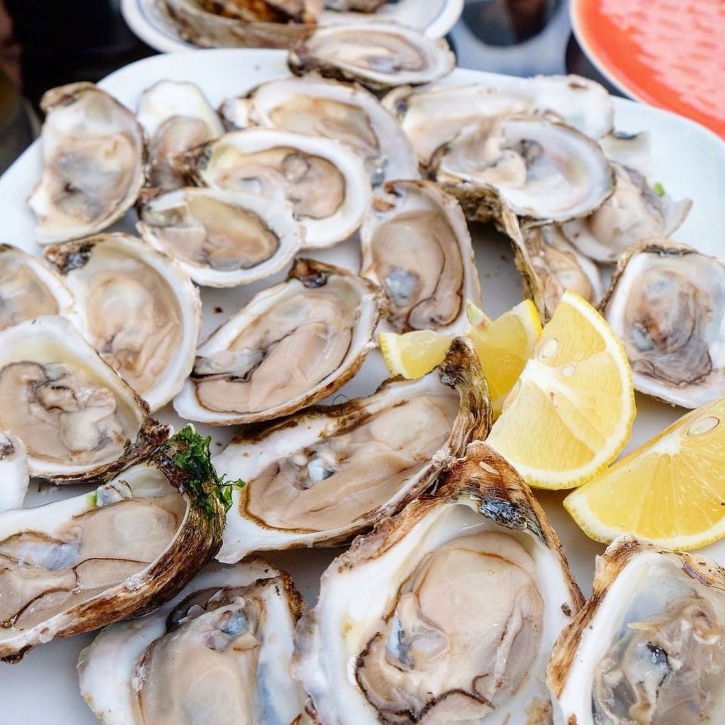 Lucky Lime Oysters - Pacific Wild Pick