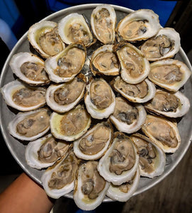 Lucky Lime Oysters - Pacific Wild Pick