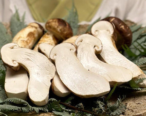 Matsutake Mushroom Special Reserve - Pacific Wild Pick