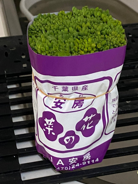 Nanohana 菜の花- Rape Blossoms - Pacific Wild Pick