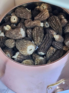 New York Morel Mushrooms - Pacific Wild Pick