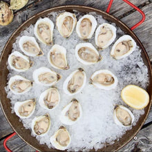 Load image into Gallery viewer, Northern Belle Oysters - LIVE - Pacific Wild Pick
