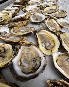 Pink Moon Oysters - LIVE - Pacific Wild Pick