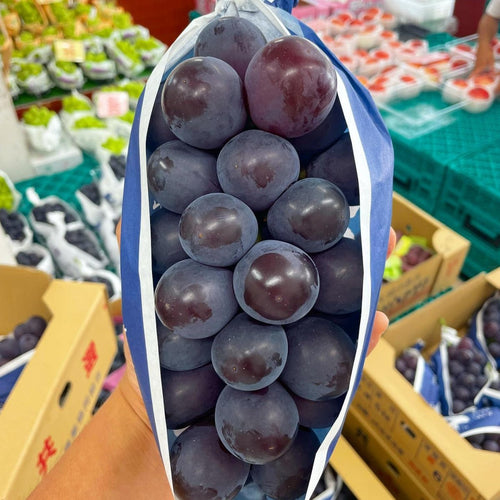 Pione Grapes Gift Box 貓眼葡萄 - Pacific Wild Pick