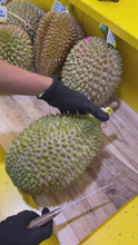 Load and play video in Gallery viewer, Frozen Ri6 &amp; Monthong Durian Pulp – King of Fruits
