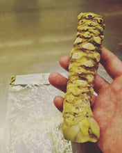 Load and play video in Gallery viewer, Fresh Japanese Wasabi root 山葵
