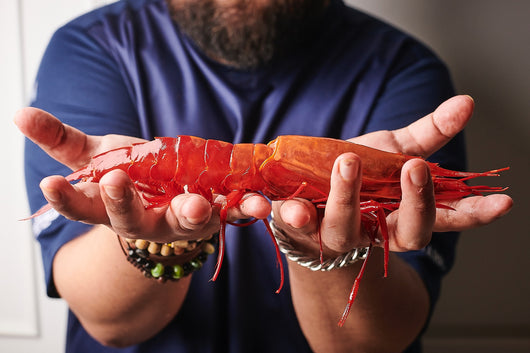 Video of premium Carabineros scarlet shrimp from Pacific Wild Pick: vibrant red Spanish prawns being unpacked from ice, grilled to perfection, and plated with olive oil and sea salt. Showcasing their juicy texture, rich flavor, and luxurious appeal for gourmet seafood lovers."