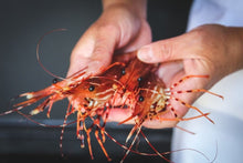Load and play video in Gallery viewer, BC spot prawns season 2024
