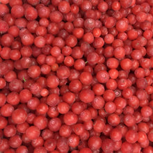 Load image into Gallery viewer, Red Huckleberry - Super Berry - Pacific Wild Pick
