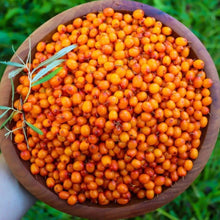 Load image into Gallery viewer, Sea Buckthorn Berries - Pacific Wild Pick
