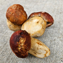 Load image into Gallery viewer, Spring King Bolete - Pacific Wild Pick
