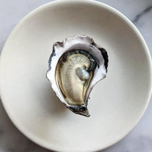 Load image into Gallery viewer, Totten Inlet Virginica Oyster - Live - Pacific Wild Pick
