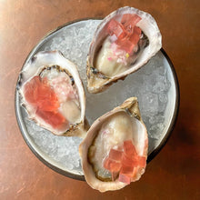 Load image into Gallery viewer, Totten Inlet Virginica Oyster - Live - Pacific Wild Pick
