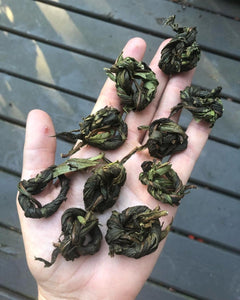 Wild Fermented Tea - 50g - Pacific Wild Pick