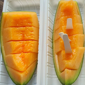 Yubari Melon Gift Box - Pacific Wild Pick