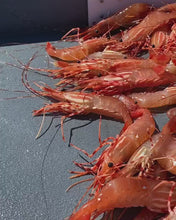Load and play video in Gallery viewer, cooking with live spot prawns
