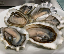 Load image into Gallery viewer, Tasty pacific Oysters
