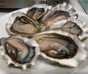 Tasty pacific Oysters