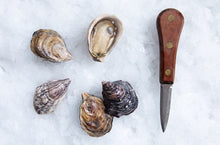 Load image into Gallery viewer, Yummy live oysters
