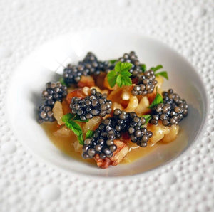 Best Caviar in the world Pacific wild pick