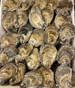 Live Beausoleil Oysters 2 Dozen