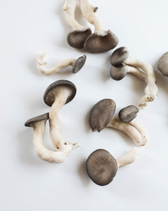 organic local mushroom canada