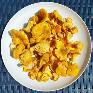 chanterelle home delivery