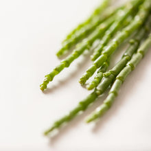 Load image into Gallery viewer, Sea Asparagus Pacific Wild Pick
