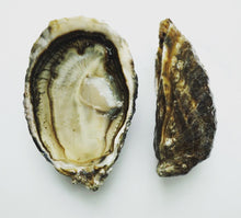 Load image into Gallery viewer, Try Fat Bastard Oysters
