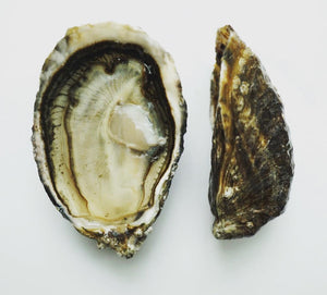 Try Fat Bastard Oysters