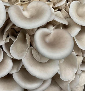 Where to buy mushrooms?