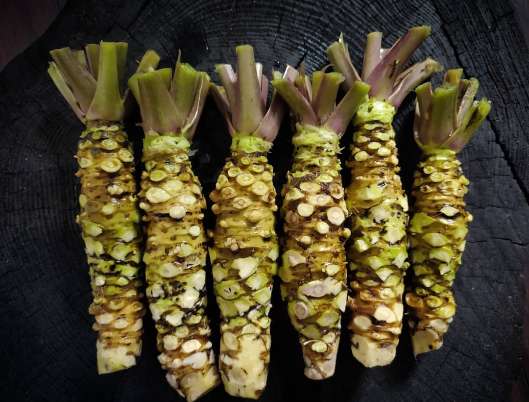 Fresh Japanese Wasabi root 山葵