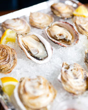 Load image into Gallery viewer, Buy Live oysters Canada
