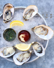 Load image into Gallery viewer, Oysters near me
