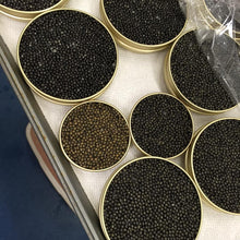 Load image into Gallery viewer, Northern Divine Black Sturgeon Caviar organic.
