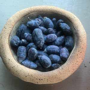 Blue Honeysuckle Berry Syrup