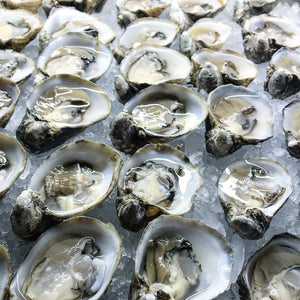 buy oysters near me