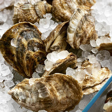 Load image into Gallery viewer, Raspberry Point Oysters
