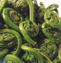 Load image into Gallery viewer, Premium quality fiddleheads
