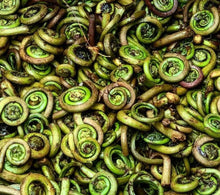Load image into Gallery viewer, Fresh Fiddleheads
