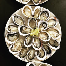 Load image into Gallery viewer, Kusshi Oysters Canada
