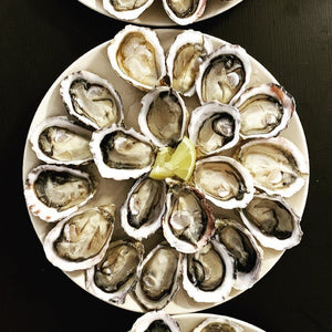 Kusshi Oysters Canada