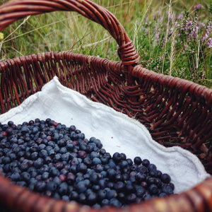 Wild Blueberries home delivery