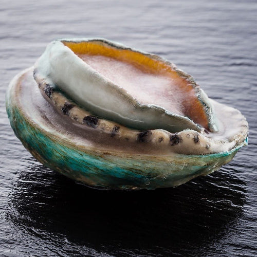 Australian Abalone- Next Day Shipping - Pacific Wild Pick