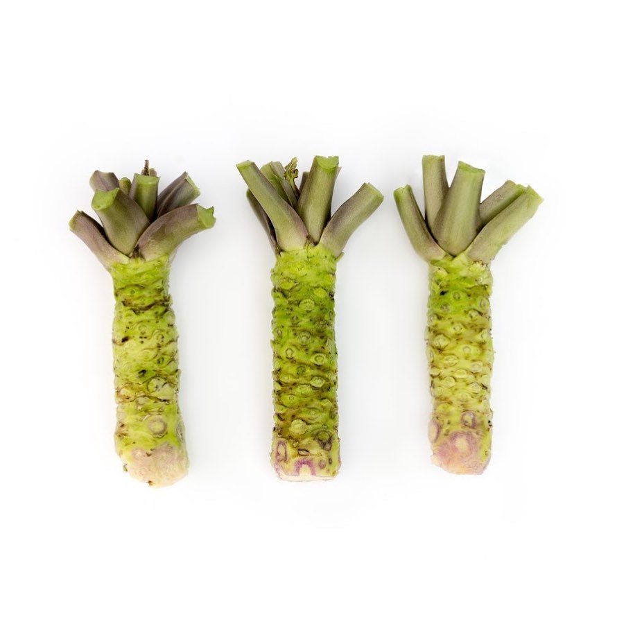 California Wasabi Roots - Same Day Shipping - Pacific Wild Pick