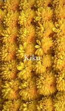 Load image into Gallery viewer, Edible Kogiku Flowers 小菊 - Pacific Wild Pick
