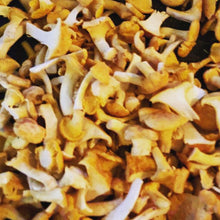 Load image into Gallery viewer, Fresh Chanterelle - Chef Quality - Pacific Wild Pick
