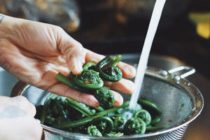 Fresh Fiddleheads- Next Day Shipping - Pacific Wild Pick