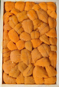 Daily Seafood  Sea Urchin Roe (Uni) - Bafun Bara Fresh Japanese 250 gm